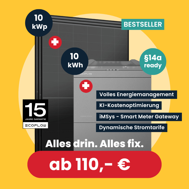 Beispielpaket von EcoFlow